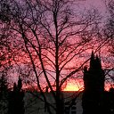  , , 66  -  27  2011   ,