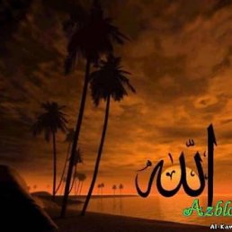 ���� ��������, ��������, 66 ��� - ��������� 22 ���� 2013