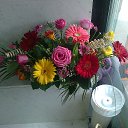 ���� �����, ����������� - ��������� 31 ������ 2013 � ������ ���� ����������