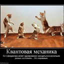 ���� Red, ������� - ��������� 16 ������ 2011 � ������ ���������������� :)�
