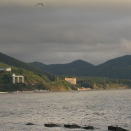 ���� �������, �����������, 44 ���� - ��������� 15 ������ 2010