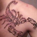 ���� �����, ����������, 37 ��� - ��������� 28 ������� 2010 � ������ �������