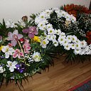 ���� �����, �������, 56 ��� - ��������� 24 ������ 2012 � ������ ���� ����������