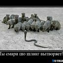 ���� ������, ������, 48 ��� - ��������� 14 ������ 2010 � ������ �������� ��������