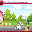  , , 36  -  10  2010   PetLove