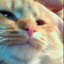 ���� ����, ���������, 22 ���� - ��������� 25 ������� 2012 � ������ ���� ����������