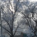 ���� �����, ��������, 54 ���� - ��������� 4 ������� 2011 � ������ ���� ����������