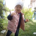  Tatuli, , 26  -  27  2013   tatuli