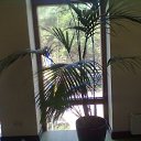 ���� ���������, ����, 65 ��� - ��������� 28 ���� 2012 � ������ �����