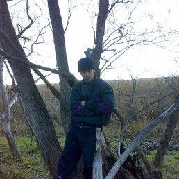 ���� ������, ���������, 41 ��� - ��������� 15 ���� 2011