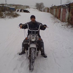 ������, �����������, 41 ���