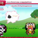 ���� ��������, ������, 27 ��� - ��������� 25 �������� 2010 � ������ �PetLove�