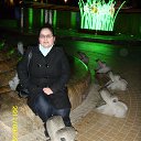   !!!,  -  2  2013   Foto Sympathy