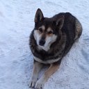 ���� ����, ������-��-����, 62 ���� - ��������� 16 ������� 2012 � ������ ��������� 2011�