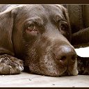 ���� ����, �����-��������, 55 ��� - ��������� 24 ������ 2011