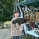 ���� �������, ������ - ��������� 8 ������� 2011 � ������ ���������