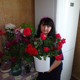 ���� �����, �������-����������, 55 ��� - ��������� 30 ��� 2013