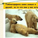  ,  -  17  2009          ...