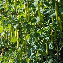 ������ ��� ������� �� ������� ����λ