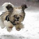 ���� ����, ������������, 61 ��� - ��������� 13 �������� 2011 � ������ �������