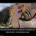 ���� �����k� ������, ����������, 49 ��� - ��������� 8 ������� 2011