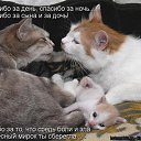 ���� ����������, �����, 24 ���� - ��������� 25 ������ 2011 � ������ ����������� �����