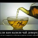 ���� ��������, ��������, 42 ���� - ��������� 8 ��� 2012 � ������ ���� ����������