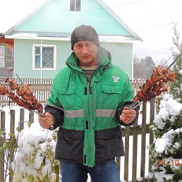 , 54 , 
