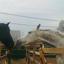 ���� ������ ���������, ������, 47 ��� - ��������� 13 ������ 2013