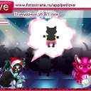     , -, 40  -  9  2010   PetLove