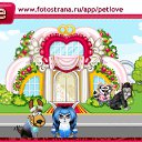  , , 61  -  11  2011   PetLove