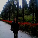 ���� �������, �����������, 40 ��� - ��������� 3 ���� 2011 � ������ ���