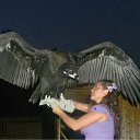 ���� ����, ������, 40 ��� - ��������� 14 ������� 2011