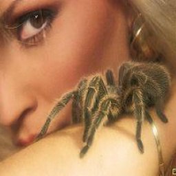 ������ �������, ������, 55 ���