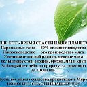 ���� ����� (��������� ������ ������), ���� - ��������� 1 ������ 2012 � ������ ������