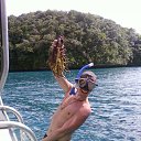 ���� ����, ������, 36 ��� - ��������� 13 ������� 2010 � ������ ������-����������