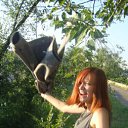 ���� ���������� (Nexen), ������, 36 ��� - ��������� 14 �������� 2011 � ������ ����