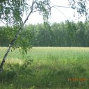  Jkmuf, , 58  -  17  2009   
