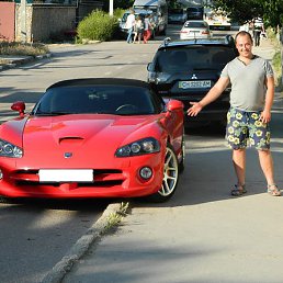 �����, ���������������, 36 ���