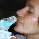 ������� �� ������� ����� ��� ������������