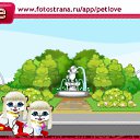 ���� ������, ���������, 48 ��� - ��������� 19 ������� 2010 � ������ �PetLove�