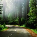 ���� Dima, ����, 46 ��� - ��������� 18 ���� 2010 � ������ ��������