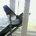 ���� ���, �������, 60 ��� - ��������� 14 ������ 2012 � ������ ���� ����������