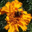 ���� ������, ������, 59 ��� - ��������� 21 ������� 2012 � ������ ���� ����