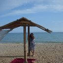   , , 43  -  3  2010    2010