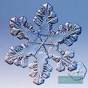 ���� �������, ������, 41 ��� - ��������� 9 ������� 2009 � ������ ���������