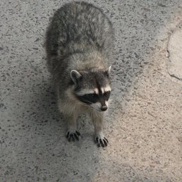 ���� ����, �����, 49 ��� - ��������� 18 �������� 2010