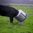 ���� ����, ������-������, 60 ��� - ��������� 2 �������� 2012 � ������ ����������