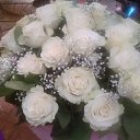 ���� �������, ������������, 61 ��� - ��������� 6 �������� 2012 � ������ �������