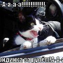 ���� ������, ������, 39 ��� - ��������� 12 ���� 2012 � ������ �������
